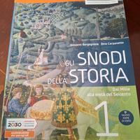 Gli snodi della storia