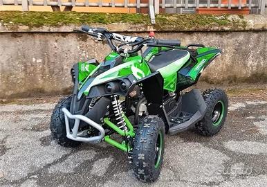 New quad renegade 50 2t verde r6