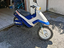 Immagine 2