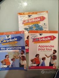 EN balade 1+ apprendre pour tous+ ma grammaire