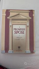 libro scolastico i promessi sposi 