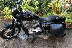 Harley davidson 883