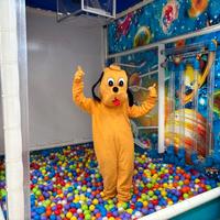 Costumi Mascotte x Feste di Compleanno, Animazione