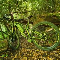 Canyon Strive