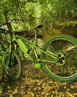 Canyon Strive