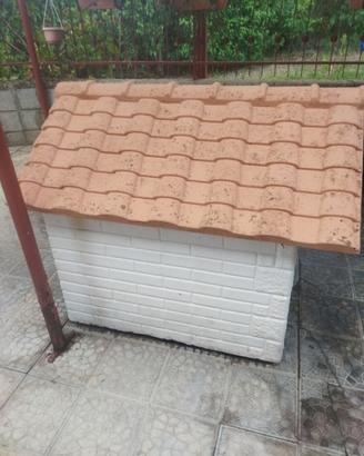 Cuccia