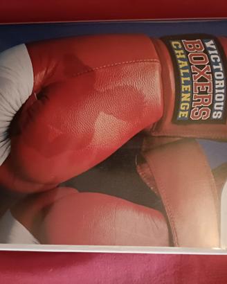 Victorious boxer challenge Nintendo Wii