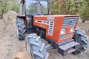 Trattore Fiat 65-56