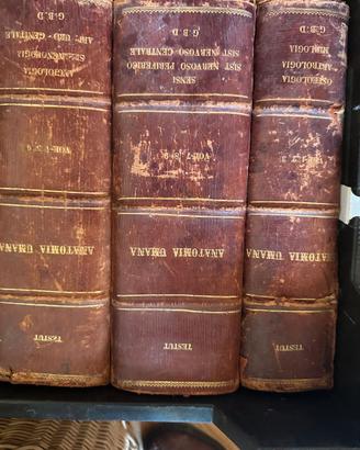 Trattato di Anatomia Umana Testut libri antichi
