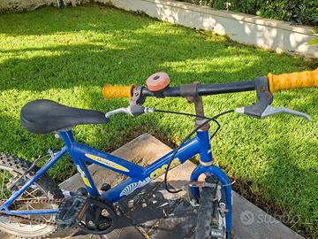 Bicicletta