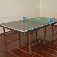 Tavolo da ping pong