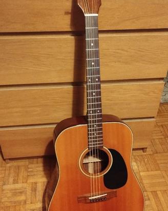 Chitarra Acustica FENIX