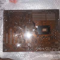 scheda madre asus