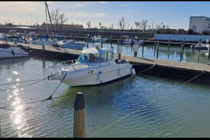 Saver Manta 21 fisher