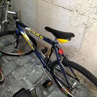 MTB BIANCHI 750 RS 