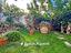 Immagine 29