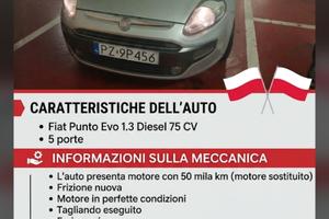 punto evo