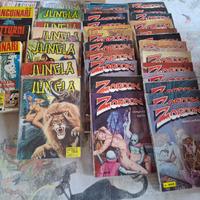 lotto fumetti per adulti zordon/jungla anni 70