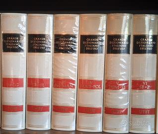 Dizionario Italiano dell'Uso 6 vol.