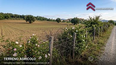 Terreno Agricolo - Canino