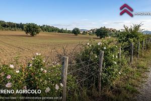Terreno Agricolo - Canino