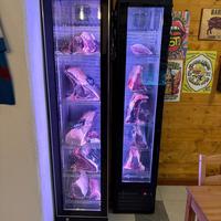 Frigorifero da stagionatura