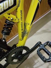 bici regina bio ammortizzata 8/12