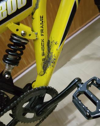 bici regina bio ammortizzata 8/12