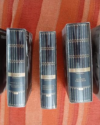 meridiani Collezione