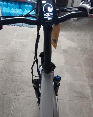 bici elettrica 