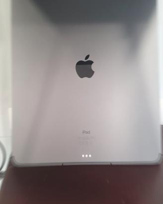 ipad pro 2022 5 generazione 12,9 con sim