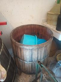 botte e tina per uva vino 
