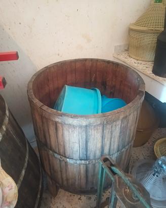 botte e tina per uva vino 