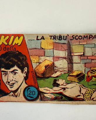 Lotto 14 vari numeri Akim Serie il Gioiello