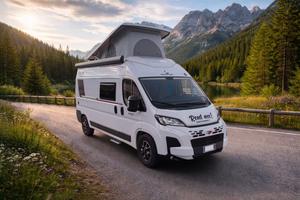 Roller Team Livingstone 6 XL Sport Limited