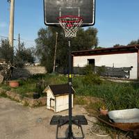 Canestro da basket