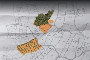 Terreno Agricolo con Uliveto -Comune Isernia