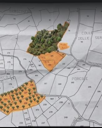 Terreno Agricolo con Uliveto -Comune Isernia