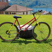 Bici vintage da donna