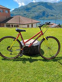 Bici vintage da donna