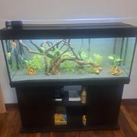 Acquario juwel 240 Led