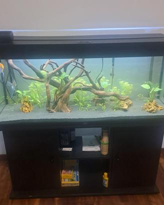 Acquario juwel 240 Led