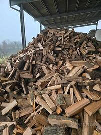 Legna da ardere secca 