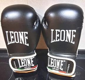 Boxe LEONE