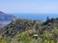 Immagine 21