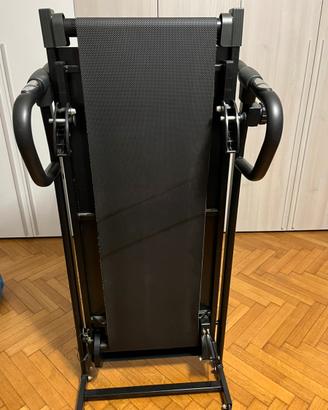 Tapiroulan magnetico