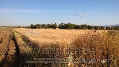 Terreno Agricolo Villasor [A1463928]