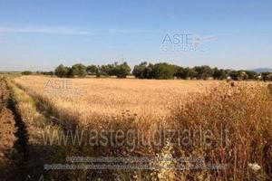 Terreno Agricolo Villasor [A1463928]