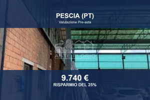 Immobile in asta di 12890 m² a Pescia