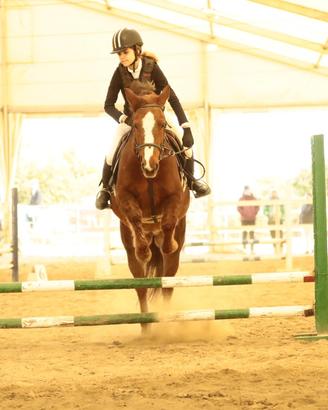 Pony